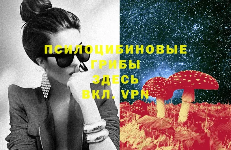 Псилоцибиновые грибы MAGIC MUSHROOMS  даркнет сайт  Долинск 